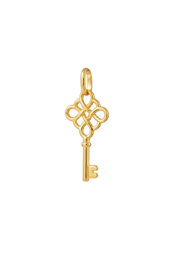1100x762px_4Aug_0026_9P-PTE002-1C TOMEI Key Pendant, Yellow Gold 916