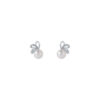 Tomei_0035_E1137_1.psd TOMEI Pearl Earrings, White Gold 585